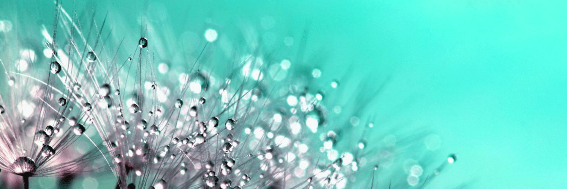 Sony FE 90mm f/2.8 Macro G OSS Review – Precision in Every Pixel