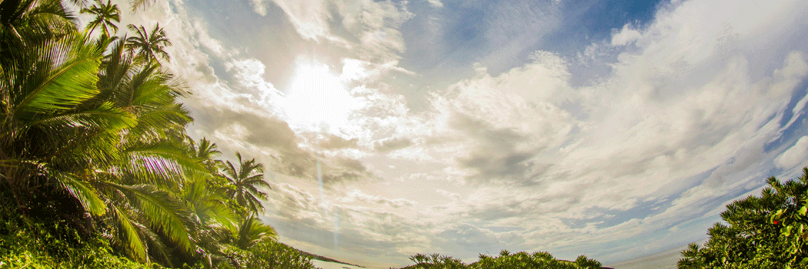 Nikon 24mm f/1.4G ED AF-S: Ultra-Wide Speed Meets Professional Excellence