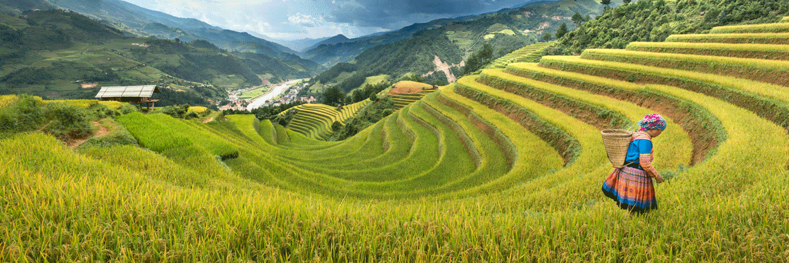 Nikon 35mm f/1.4G AF-S: Wide-Angle Storytelling with Shallow Depth Magic